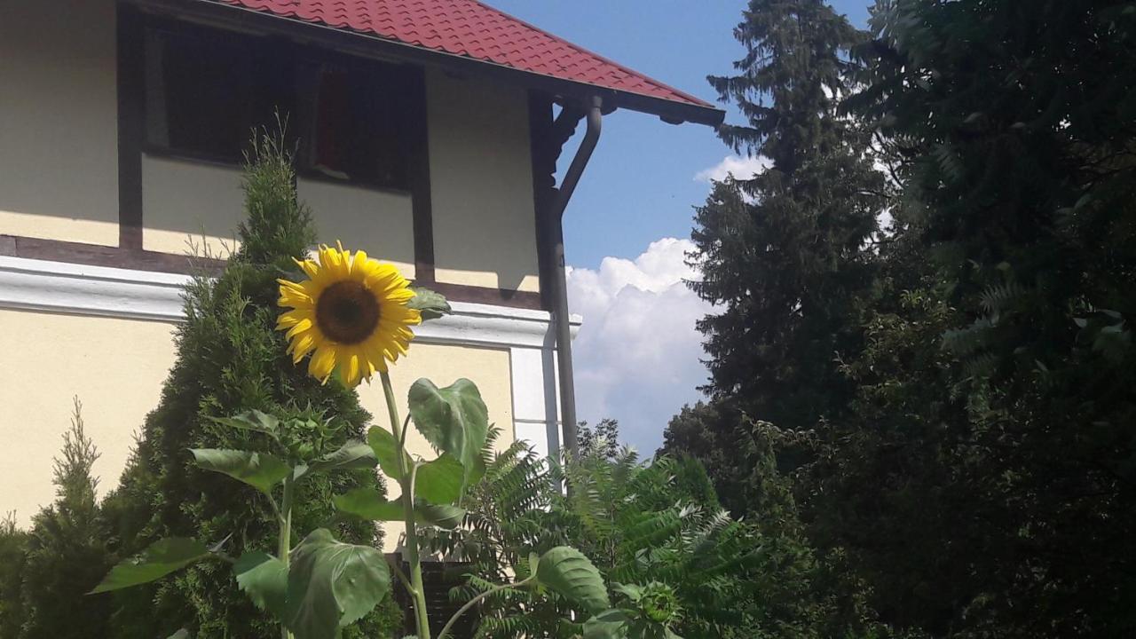 Penzión Pod orechom Turčianske Teplice Exterior foto